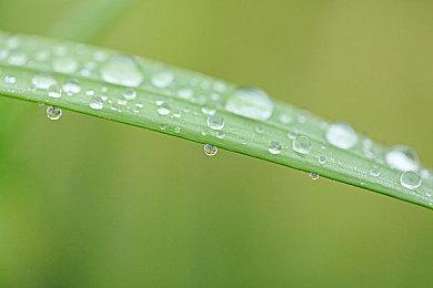 《塞伯利亚之谜：之前的世界》发布新预告 游戏3月18日发售